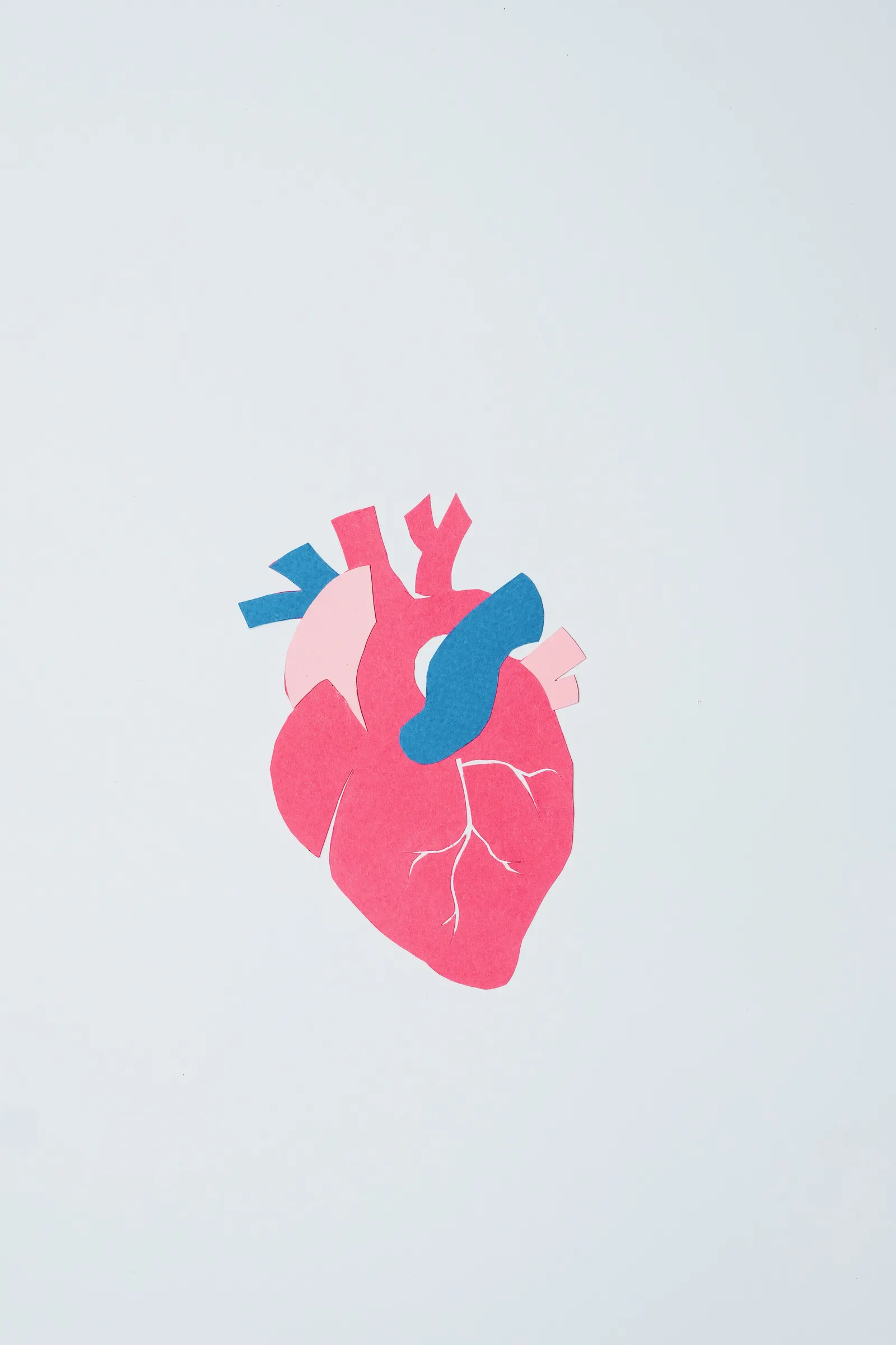 Preventive Heart Care: Recognizing Early Cardiac Warning Signs